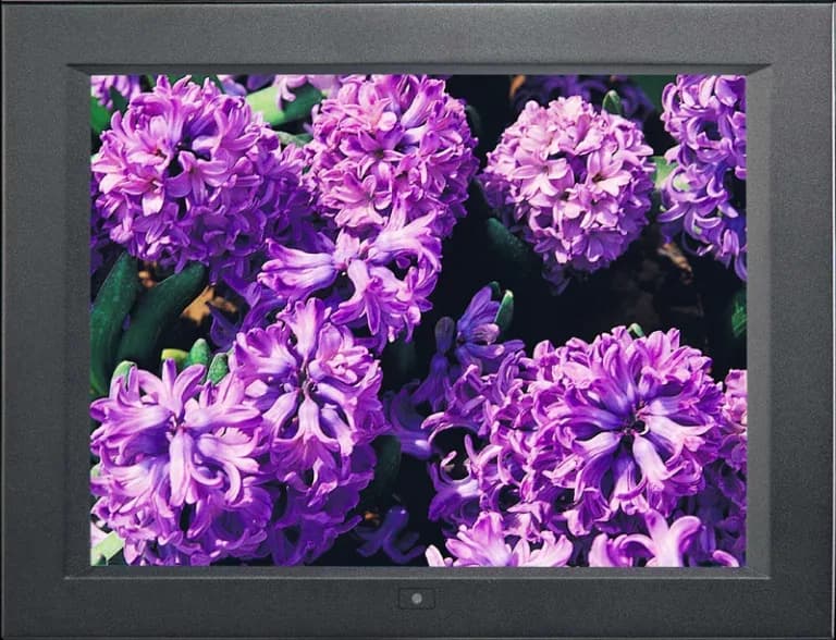 Cornice digitale Austin Hughes NAP-15 con schermo che mostra fiori di giacinto viola
